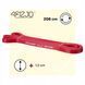 Еспандер-петля 4FIZJO Power Band 13 мм 6-10 кг резина для фітнесу і спорту Red (P-5907222931059) 4FJ1059 фото 8