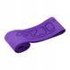 Резинка для фітнесу та спорту із тканини 4FIZJO Flex Band 16-22 кг Violet (P-5907739311696) 4FJ0153 фото 2