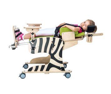 Устройство реабилитационное ZEBRA BODYMAP р2 1409567019 фото