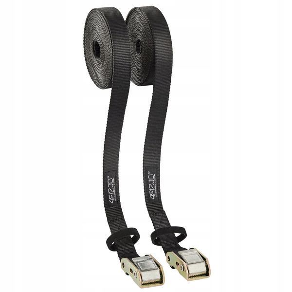 Гімнастичні кільця 4FIZJO з ABS пластику, регульовані Black (P-5907739314864) 4FJ0431 фото
