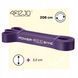 Еспандер-петля 4FIZJO Power Band 32 мм 17-26 кг резинка для фітнесу і спорту Violet (P-5907222931073) 4FJ1073 фото 12